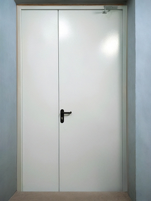 Глухая полуторная дверь ei-60