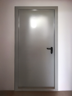 Глухая пожаростойкая дверь